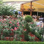 Marshal Hotel Bucharest