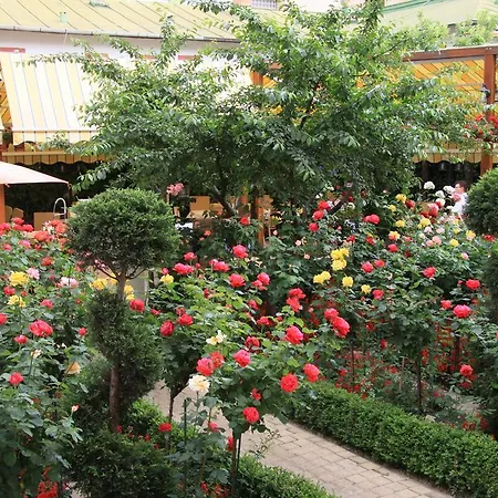 Отель Marshal Бухарест