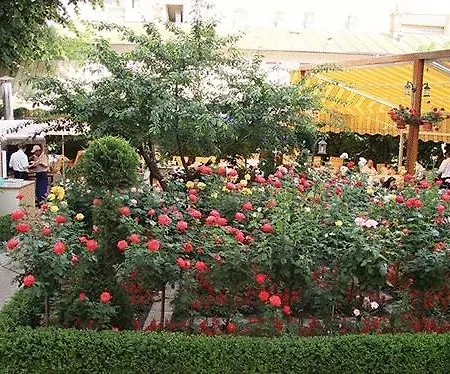 Отель Marshal 3*